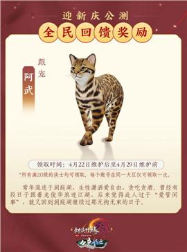修仙版本天龙八部私服